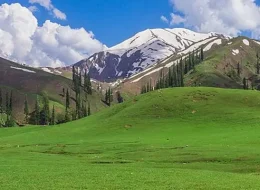 5 days Neelam & Naran
