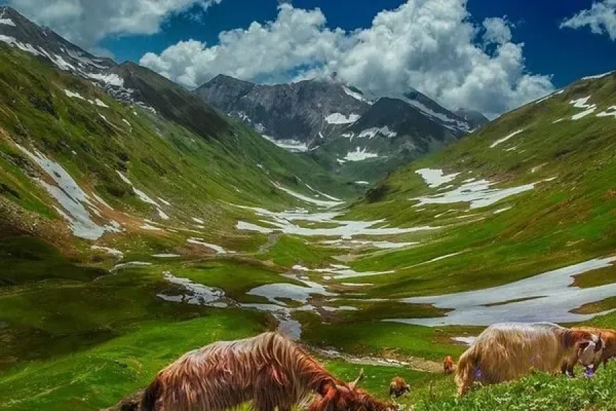 03 Days Naran Shogran Babusar Top