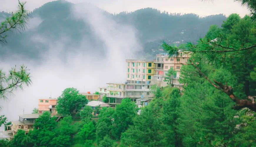 02 Days Murree