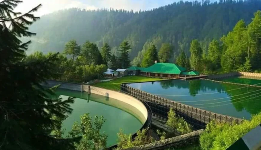 04 Day Murree, Ayubia & Nathia Gali