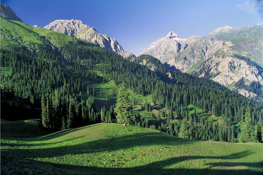 03 Days Murree, Agubia & Nathia Gali