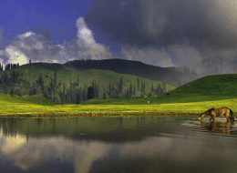 04 Days Naran
