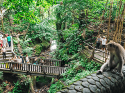 8 Days Bali & Malaysia Tour