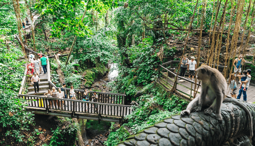 8 Days Bali & Malaysia Tour