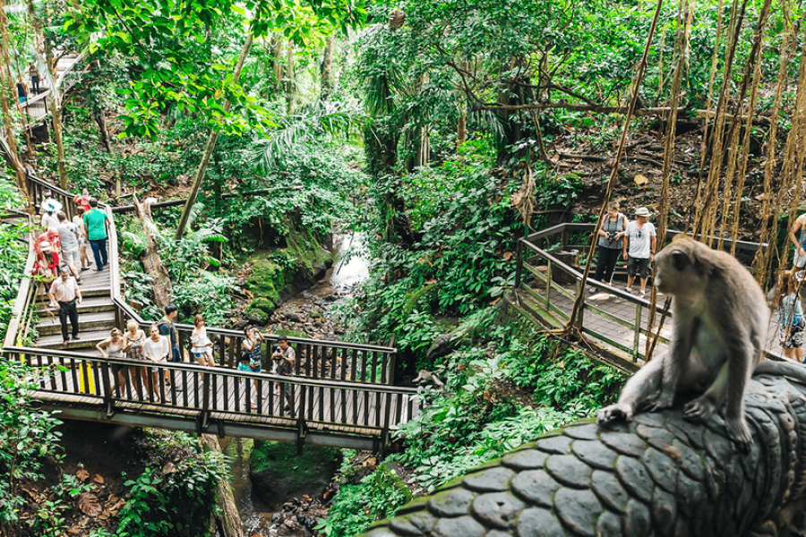 8 Days Bali & Malaysia Tour